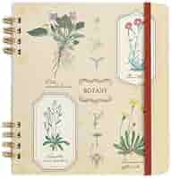 Amazon | グリーンフラッシュ ノート STUDY HOLIC リングノート